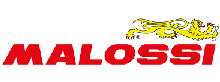 Gegendruckfedern  - Malossi - Top Racing